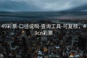 49彩票-口径说明-查询工具-可复核，49cn彩票
